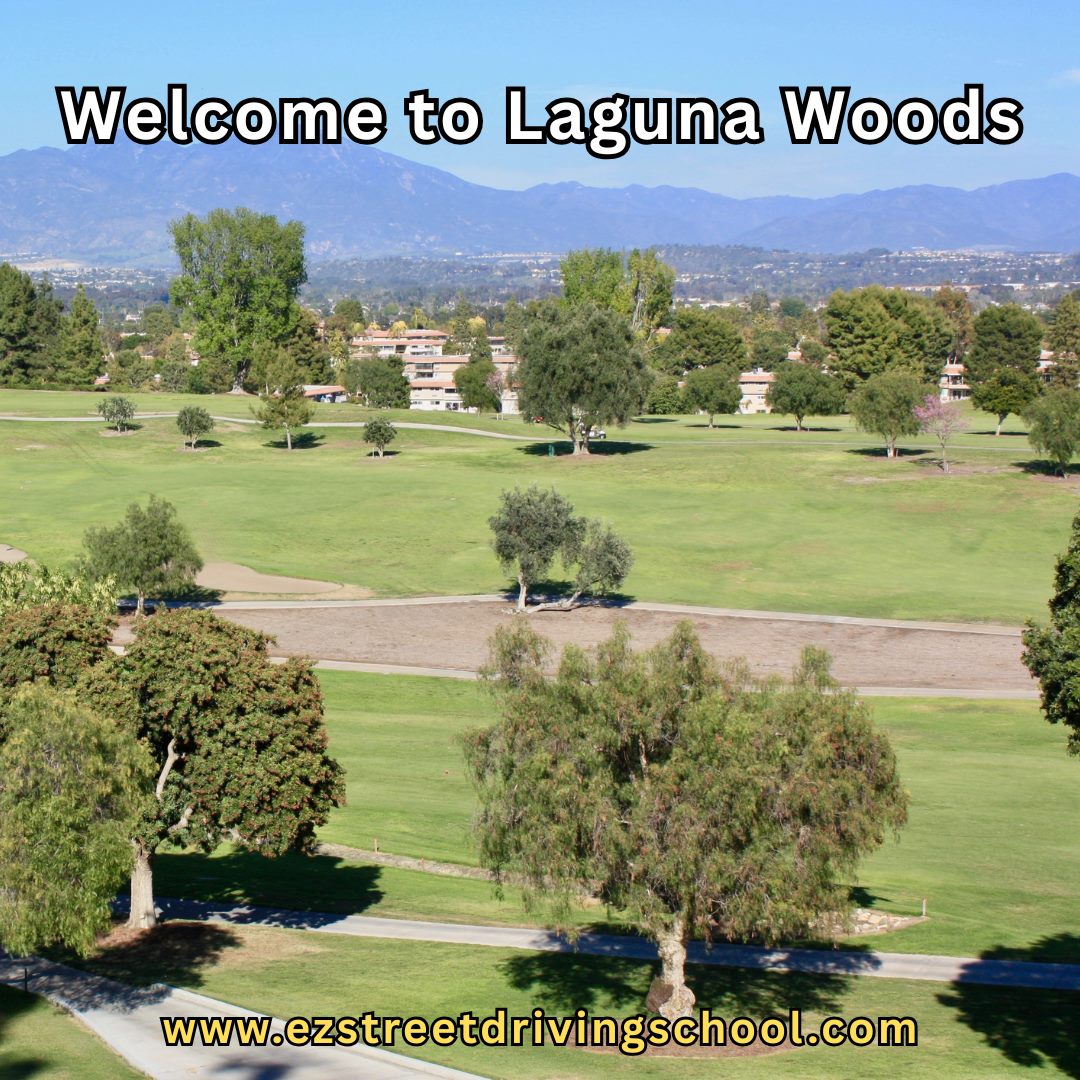 Driving Lessons in Laguna Woods